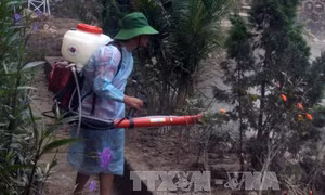 Tăng cường phòng, chống dịch bệnh sau mưa lũ