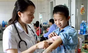 Bộ Y tế: Cần chủ động phòng bệnh sốt vàng 