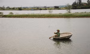 Những triệu phú nông dân bên bờ sông giới tuyến lịch sử