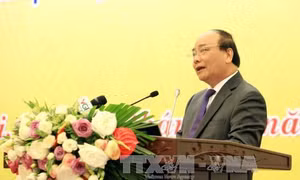 Kiểm tra việc kê đơn thuốc kháng sinh 