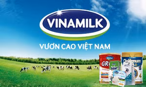 Top 500 doanh nghiệp tăng trưởng và thịnh vượng Việt Nam 2017 