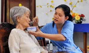 Chăm sóc, nâng cao sức khỏe người cao tuổi: Bài 1 - Nhu cầu thực tế 