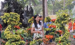 Thành phố Hồ Chí Minh