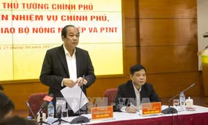 Tổ công tác của Thủ tướng kiểm tra việc thực hiện nhiệm vụ tại Bộ NN và PTNT