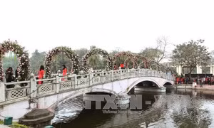 Lễ hội hoa hồng Bulgaria: Thực hư việc 'treo đầu dê, bán thịt chó'