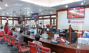 TP Hồ Chí Minh