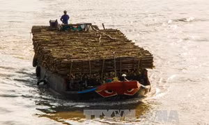 Phương tiện thủy tự đóng phải đảm bảo tiêu chuẩn mới được đăng kiểm