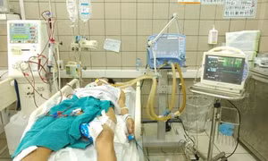 Sau khi ăn cá chình, người đàn ông bị cấp cứu vì ngộ độc nặng