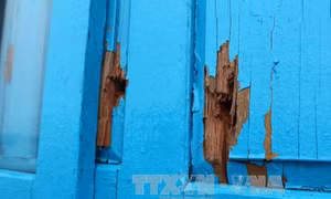Tàu lạ nổ súng xối xả vào tàu cá Việt Nam, 1 ngư dân thiệt mạng