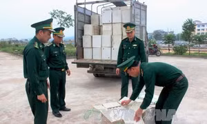 Vận chuyển cả xe trứng gia cầm trái phép, tài xế khai nhận tiền công 300.000 đồng