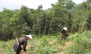 Ủy ban Dân tộc dồn sức hoàn thành tốt nhiệm vụ năm 2017