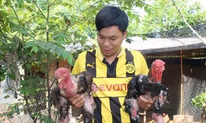 Gà Đông Tảo "hút" hàng