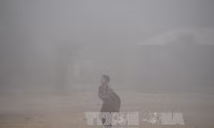 Thủ đô New Delhi đóng cửa tất cả các trường học do ô nhiễm không khí
