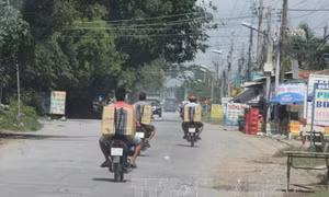 Năm 2016, thuốc lá lậu làm ngân sách nhà nước thất thu 10.000 tỷ đồng