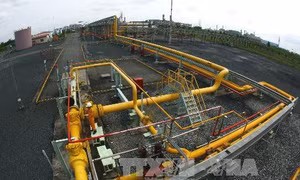 PV GAS vững tay chèo giữa sóng lớn