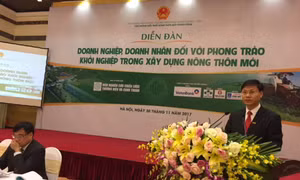 Doanh nghiệp phải là đầu tàu trong phát triển nông thôn mới