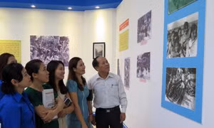 Sôi nổi các hoạt động kỷ niệm 127 năm Ngày sinh Chủ tịch Hồ Chí Minh 