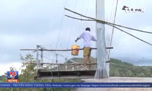 Người dân liều mình đi qua cầu treo đang hư hỏng nặng
