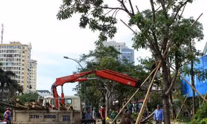 Nghệ An khắc phục hậu quả bão số 10