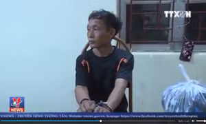 Sơn La bắt đối tượng truy nã đặc biệt nguy hiểm