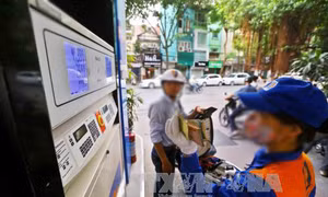 Lâm Đồng: Phạt 1,3 tỷ đồng đối với doanh nghiệp kinh doanh xăng dầu kém chất lượng