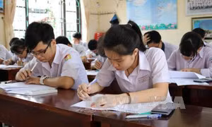 Lên kế hoạch thi học sinh giỏi quốc gia vào tháng 1 năm sau