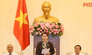 Cho ý kiến về việc lùi thời điểm triển khai chương trình giáo dục phổ thông và sách giáo khoa mới