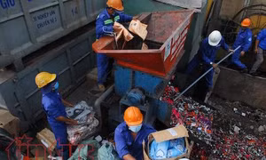 Thành phố Hồ Chí Minh