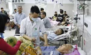 A9 Bạch Mai - nơi giành giật sự sống