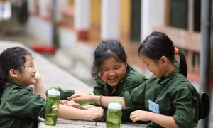 TP Hồ Chí Minh