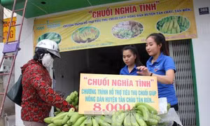 Tây Ninh chung tay 'giải cứu' chuối ế cho nông dân