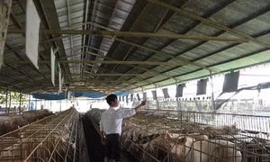TP Hồ Chí Minh