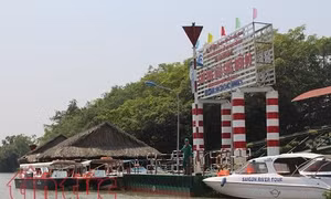 Thành phố Hồ Chí Minh