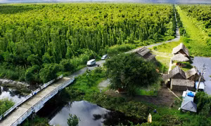 Thư chị U Minh gửi em trai