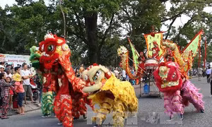 Sinh động lễ hội Làm Chay tại Long An