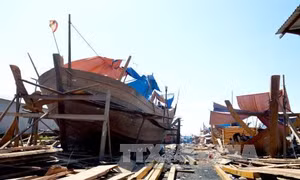 Đà Nẵng tái cơ cấu đội tàu, nâng cao giá trị khai thác hải sản xa bờ 