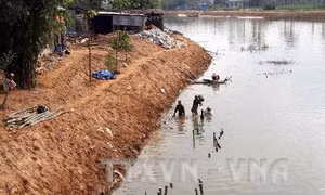Thừa Thiên - Huế khắc phục sạt lở bờ sông Hương, sông Bồ 