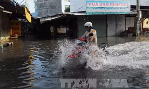 Nguy cơ ngập lụt tại các tỉnh An Giang, Đồng Tháp, Long An