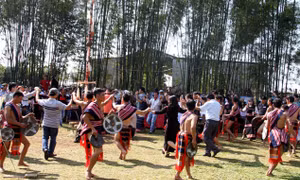 Vang vọng cồng chiêng đại ngàn