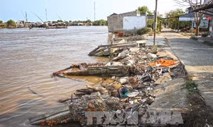 Nỗi lo sạt lở trong mùa mưa bão ở Cà Mau