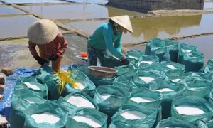 Hơn 43.000 tấn muối tồn kho