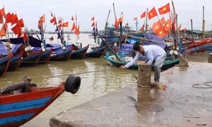 Nghệ An khẩn trương tìm kiếm 13 người mất tích trên biển