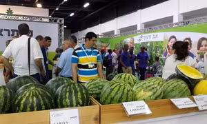 Triển lãm thành tựu nông nghiệp công nghệ cao Israel