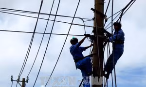 EVN sẽ khôi phục cấp điện hoàn toàn trong ngày 9/11