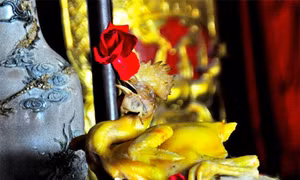 Đặt gà trên mâm cỗ cúng thế nào cho đúng