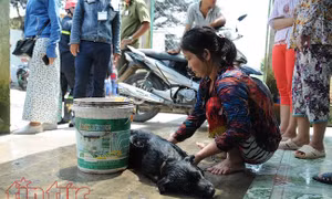 Thành phố Hồ Chí Minh