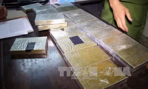 Hà Nội bắt 3 đối tượng vận chuyển 15 bánh heroin và 2.000 viên ma túy tổng hợp 