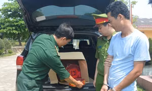 Bắt đối tượng buôn lậu pháo liên tỉnh tại Hà Tĩnh