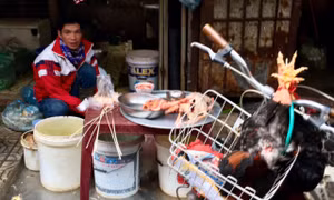Vô tư giết mổ gia cầm tại chợ trong mùa dịch cúm 