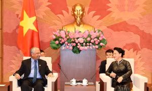 Tăng cường kết nối giữa UNDP với Quốc hội Việt Nam
